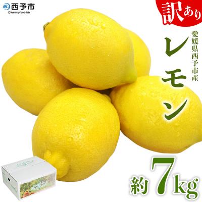 ふるさと納税 西予市 <愛媛県西予市産 訳ありレモン 約7kg> ワケアリ 家庭用 ご自宅用 れもん 檸檬 柑橘 果物