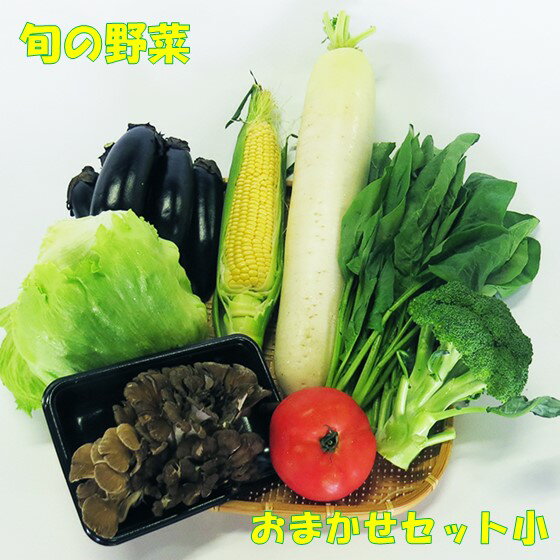 【ふるさと納税】【 平留商店 】鮮度抜群！こだわりの旬の野菜おまかせセット(小)（野菜6〜7品）新鮮 野菜 セット 詰め合わせ 岩手 北上 ※5/11より寄附額変更となりました