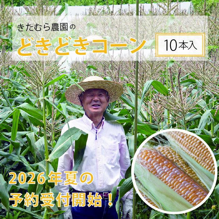 【ふるさと納税】『きたむら農園のどきどきコーン』10本セット/ 20本セット　2026年夏の予約受付開始！ 信濃町名産 朝採れとうもろこし／スイートコーンの定番品種、 令和8年7月下旬～8月下旬に随時出荷【長野県信濃町】
