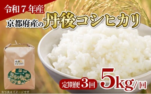 【令和7年産 新米】定期便 全3回 京都府産 丹後コシヒカリ 5kg (お米 5キロ 米 こめ 白米 国産 ブランド米 取り寄せ 京都 ごはん コシヒカリ こしひかり 3か月 3ヶ月 2025年度 JA JA京都 京都府産 京都府