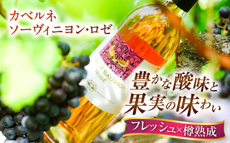 【家庭用】飲み比べセット カベルネロゼ×シャルドネ 750ml×各1本 計2本 ワイン お酒 ぶどう 島根県雲南市/有限会社奥出雲葡萄園[AICS087]