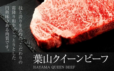葉山クィーンビーフハンバーグ 150g×4 |  牛肉 肉  国産 ハンバーグ はんばーぐ 葉山 HACCP認証 神奈川 【株式会社石井ファーム葉山マルシェ】[ASCD011]