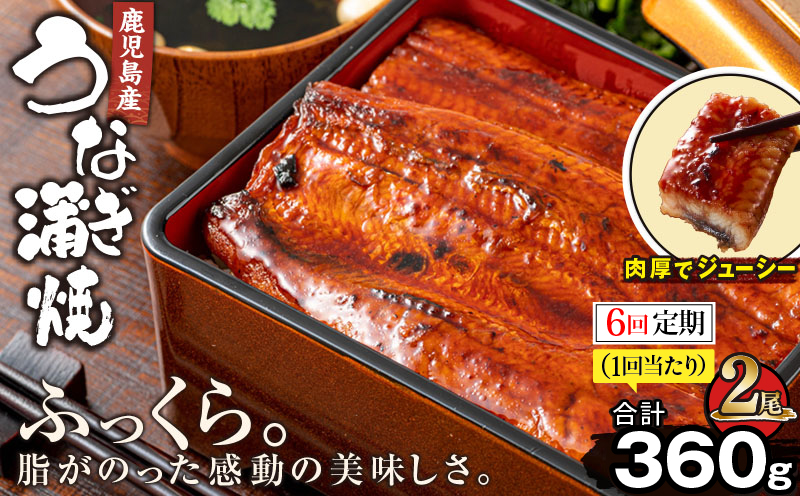 2324-1 【全6回定期便】鹿児島産うなぎ 合計360g（180g×2尾）　KN021-T20