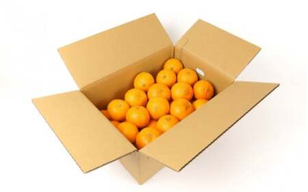【先行予約】希少種みかん はれひめ 約5kg(25個～30個) 秀品 2026年12月中旬～2027年2月初旬頃に順次発送予定（お届け日指定不可）/ 和歌山 みかん はれひめ フルーツ 柑橘 蜜柑 果
