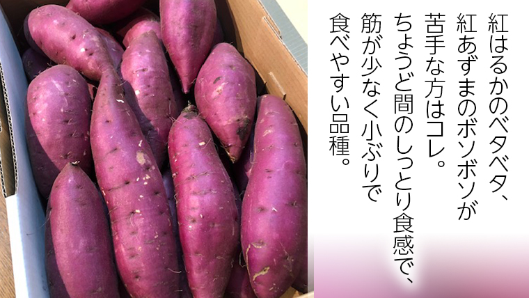 さつまいも 「 ひめあやか 」 5kg 旬 甘い 芋 いも サツマイモ スイーツ 野菜[AM067us]