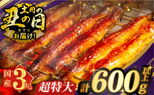 【丑の日までにお届け!!】うなぎ蒲焼特大3尾(さんしょう・たれ付き)計600g以上 鰻 魚 魚介 加工品 国産_T026-002-US