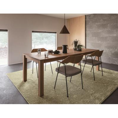 ふるさと納税 八尾市 (ブラウン・200×250cm) 防虫・防ダニ・防カビ・抗菌のマルチ機能無地ラグ(H146)