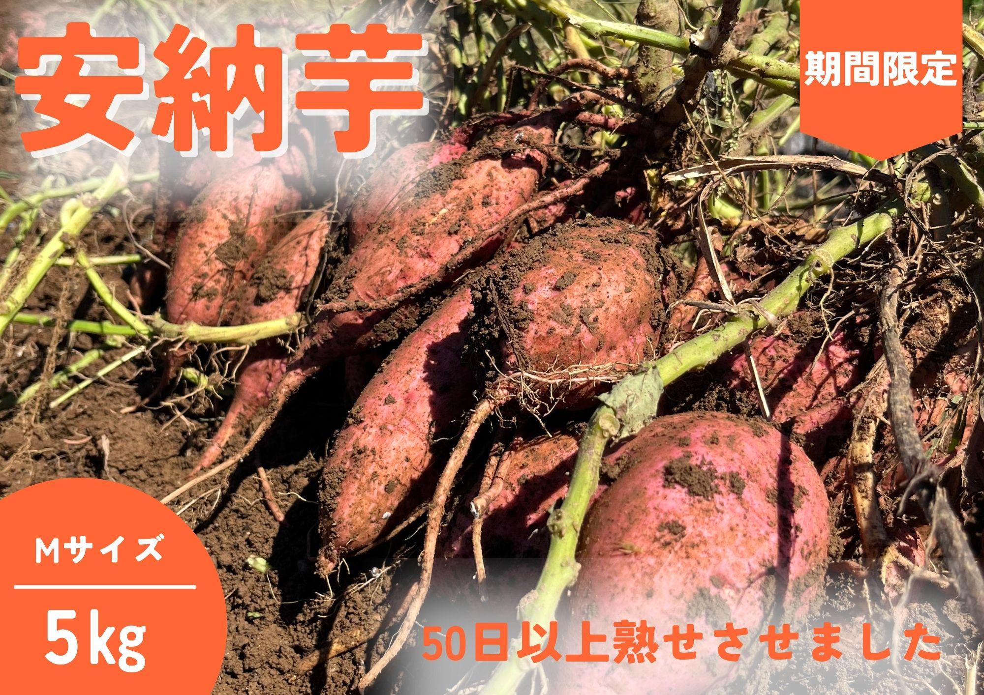 
                  【10月下旬～】種子島 石蔵 長期熟成 安納いも  ( Mサイズ ) 5kg　NFN638 【400pt】//  有機肥料 減農薬栽培 安全安心 
                