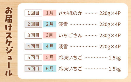 【先行予約】【6回定期便】プレミアム！ いちご食べ比べ /  いちご イチゴ 苺 いちご イチゴ いちご いちご [IAP023]