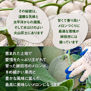 【2026年8月～発送】 アールスメロン 1個 約1.5kg～2kg マスクメロン