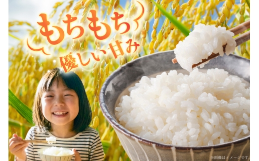 米 令和8年 新米 ゆめぴりか 精米 10kg [笹田ファーム 北海道 剣淵町 14656410]	令和8年産 お米 精米 白米 こめ ご飯 ごはん 10キロ
