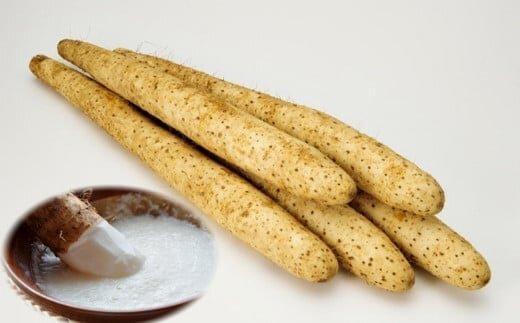 943.【訳あり】砂丘長いも2.5kg  長芋 ながいも 鳥取県産≪野菜 やさい≫※11月上旬頃～3月下旬頃に順次発送予定