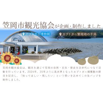 ふるさと納税 笠岡市 オリジナルカブトガニ缶バッジ 4個セット 笠岡市観光協会《30日以内に出荷予定(土日祝除く)》 |  | 03