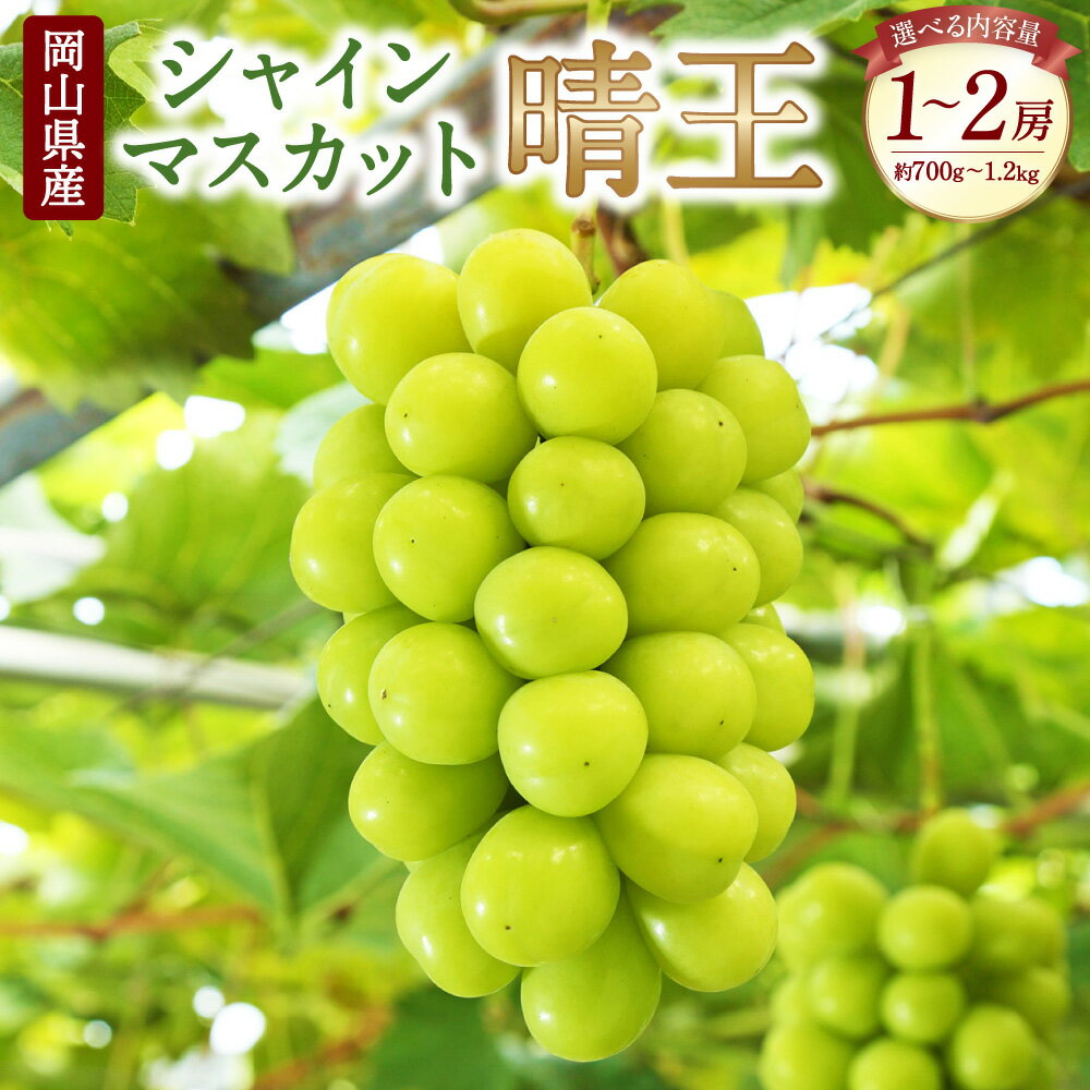 【ふるさと納税】岡山県産 シャインマスカット 晴王 〈選べる〉 1～2房 約700g～1.2kg マスカット ぶどう 葡萄 グレープ 果物 フルーツ お取り寄せ デザート 送料無料【2025年8月下旬-10月上旬迄発送予定】