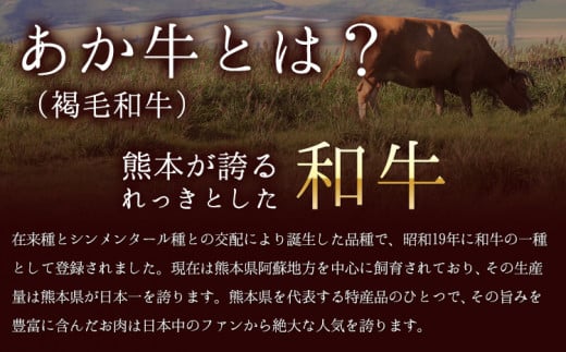 あか牛(褐毛和牛) ローススライス (リブまたはサーロイン) 500g 熊本県産 肉 和牛 牛肉 赤牛 あかうし リブロース サーロイン 冷凍 《7月中旬-8月中旬頃出荷予定》送料無料 熊本県球磨郡山