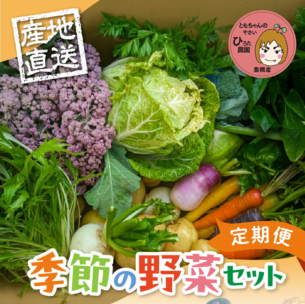 【ふるさと納税】彩り野菜セット【選べる種類数・お届け回数】3種 5種 7種 お試し 定期便 豊橋 国産 ミネラルたっぷり 海風そだち 潮風 家族で 大容量 豊橋 ともちゃんのやさい 直売所で大人気！ 愛知県 豊橋市 安心野菜 ブロッコリー キャベツ