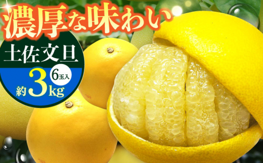 【先行予約】 南国高知温室土佐文旦 約3kg 6玉〈2026年11月中旬～2027年2月中旬頃発送〉/ 文旦 ぶんたん 3kg 3キロ 温室 果物 フルーツ デザート 柑橘 南国 土佐 高知 名物 名産  【フルーツショップオザキ】[ATAH012]