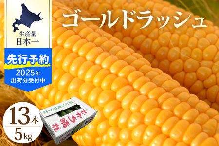 北海道十勝芽室町　とかち晴れ　十勝めむろスイートコーン 13本入り