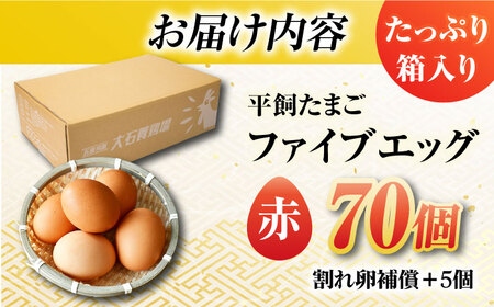 【お得な箱入り】平飼たまご ファイブエッグ M〜Lサイズ 70個&nbsp;/ 5EGG 卵 赤玉子五島市 / 五島列島大石養鶏場[PFQ009]