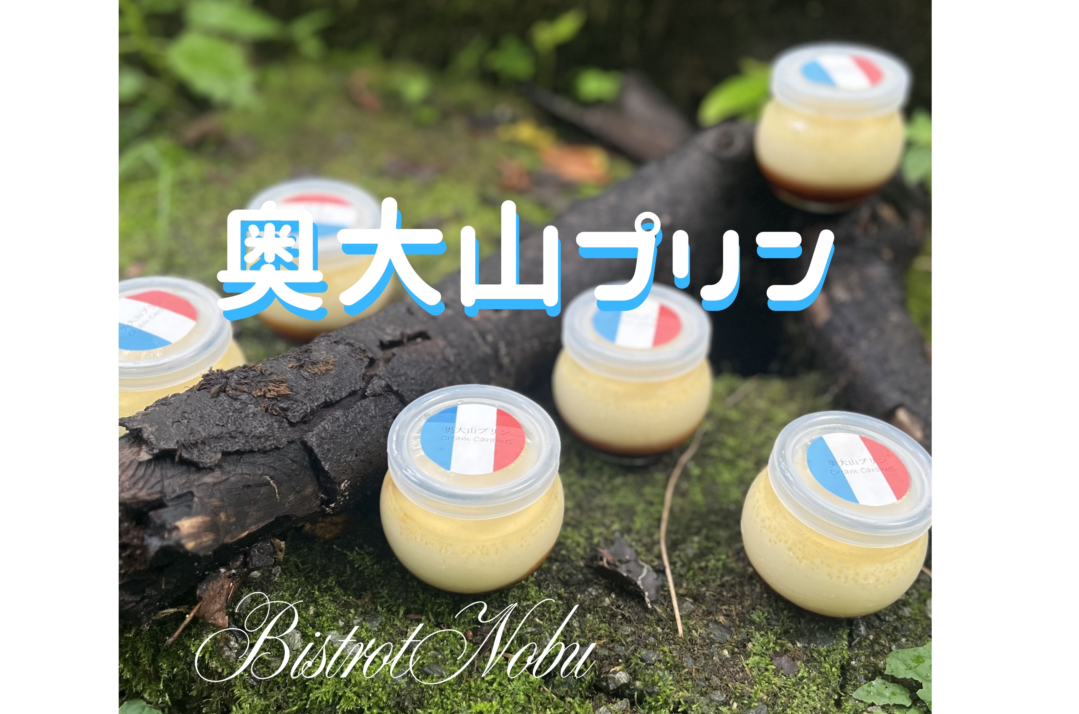 【ふるさと納税】奥大山プリン 6個入り ビストロノブ ミシュラン ビブグルマン　1192