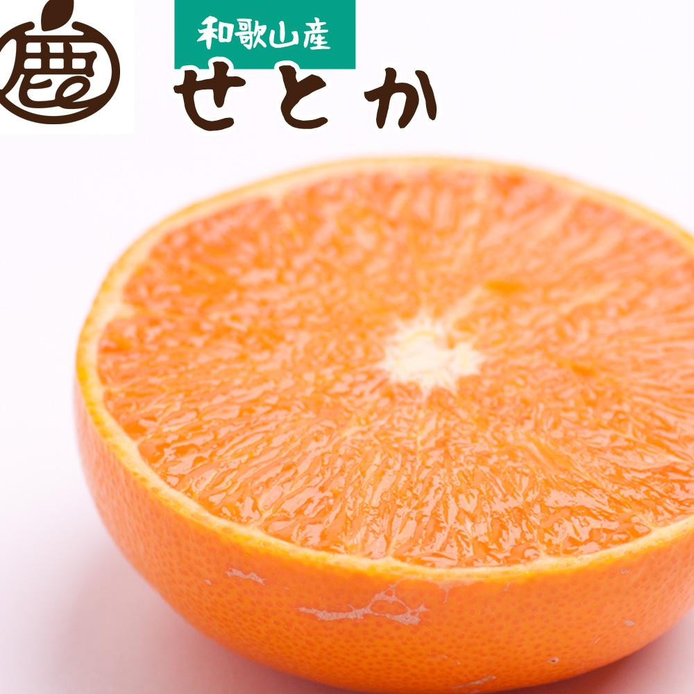 
            ［先行予約］厳選 せとか5kg+250g（傷み補償分）［柑橘・春みかんの王様］［光センサー選果・食べ頃出荷］ ［IKE119］
          