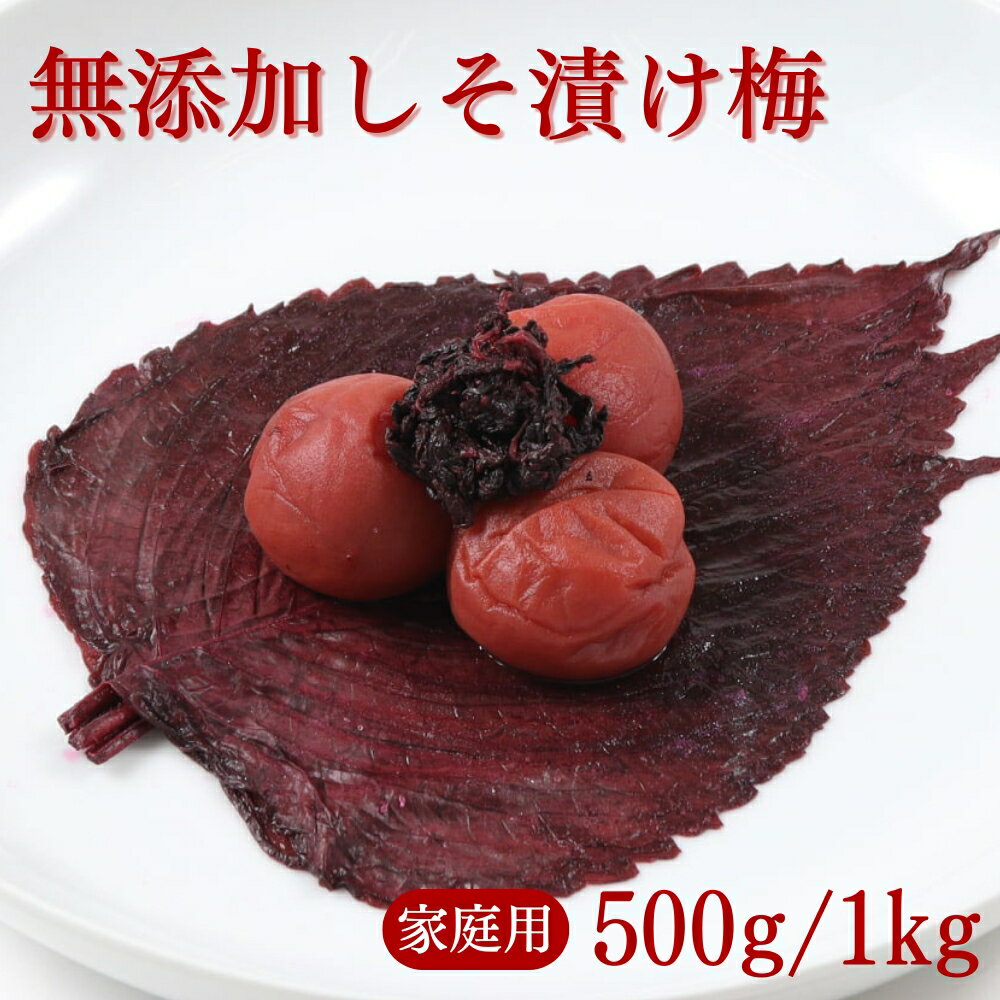 【ふるさと納税】 ご家庭用梅干し　無添加しそ漬け梅　500g・1kg / みなべ町 梅干 うめぼし ウメ しそ梅 紫蘇漬け梅 家庭用 紀州南高梅 南高梅 簡易包装 お弁当 おにぎり