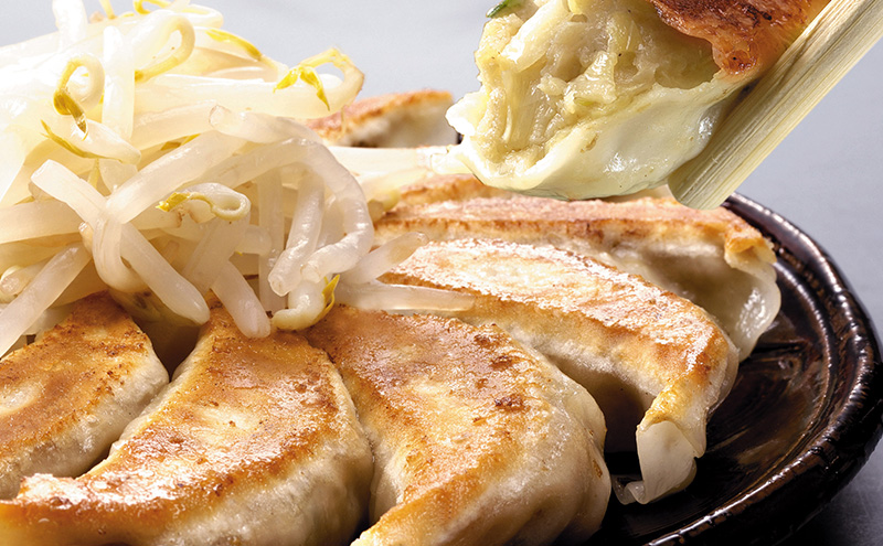 五味八珍　浜松餃子　3種計112個セット【遠鉄百貨店×高島屋】 肉の加工品 