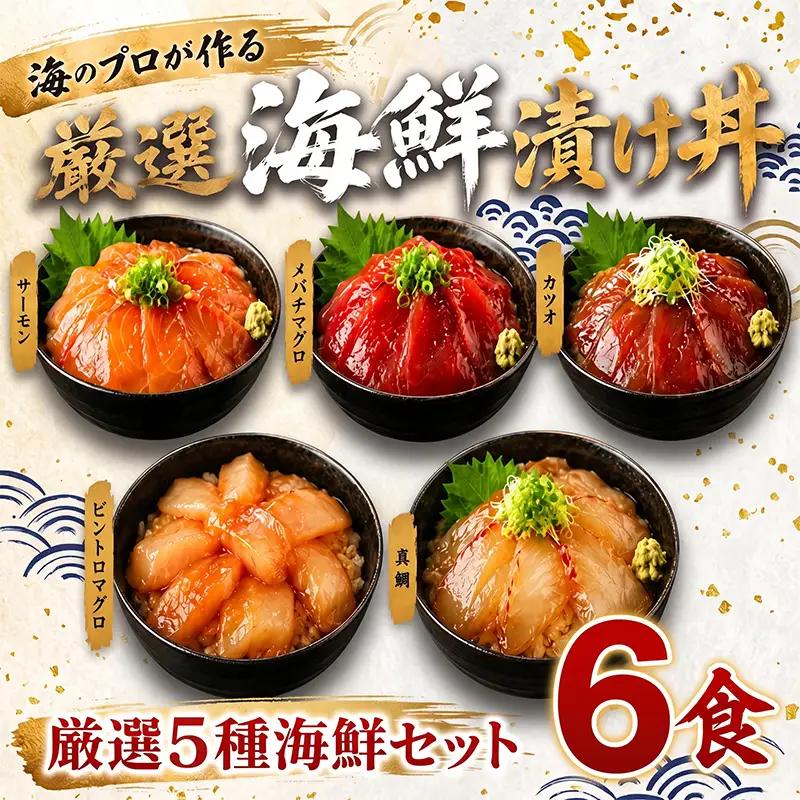 タカシン水産の海鮮漬け丼(5種)80g×6パック入 酒の肴に海鮮丼に茶漬けに飯ともに【tk210】