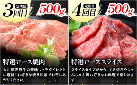 《定期便》全4回お届け！大川原高原牛 特選ロース(しゃぶしゃぶ・ステーキ・焼肉・スライス 各500gずつ) 株式会社肉の藤原 《お申込み月翌月から出荷開始》牛肉定期牛肉定期牛肉定期