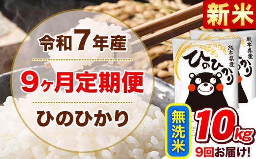 新米 令和7年産【9ヵ月定期便】無洗米 ひのひかり 計9回お届け 10kg 5kg×2袋《お申込み翌月から出荷》 熊本県産 ひの 米 こめ ヒノヒカリ コメ お米 津奈木