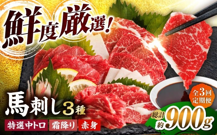 
            【3回定期便】馬刺し バラエティセット 3種類 ～3・4人前～ ＋タレ小 馬刺し 食べ比べ セット 特選霜降り馬刺し 霜降り馬刺し 馬刺し 馬肉 桜肉 馬 肉 霜降り 中トロ 赤身 タレ付き 冷凍 生食 肉食 刺身 九州 熊本県 特産品 山鹿 送料無料【馬刺しの郷 民守】[ZBL048]
          