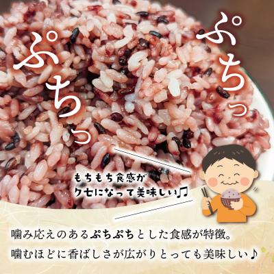 ふるさと納税 明和町 伊勢 斎宮 古代米 黒米 100g×3袋 合計300g　M1825 |  | 01