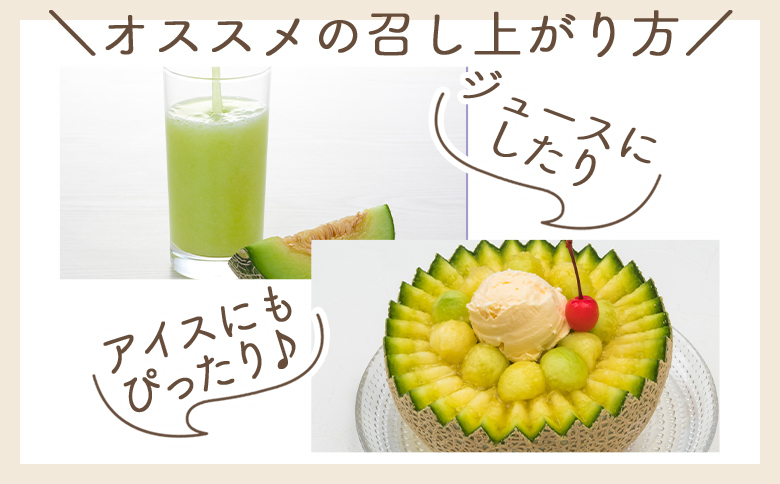 マスクメロン 2玉 家庭用 - 国産 メロン 果物 フルーツ 青果 濃厚 デザート 訳あり 訳アリ ご家庭用 不揃い 傷 やすらぎ市 高知県 香南市 常温 yr-0089