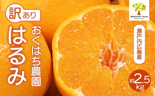 
                  【おくはち農園】〈訳あり〉はるみ 2.5kg 《2027年2～3月発送予定》 栽培期間中 防腐剤 ワックス 不使用 旬 柑橘 かんきつ フルーツ 果物 瀬戸内 166007
                