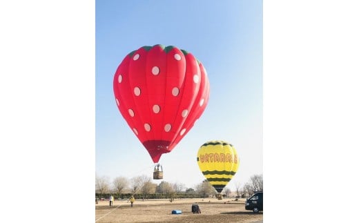 熱気球搭乗体験（係留フライト）【券 人気 おすすめ 】