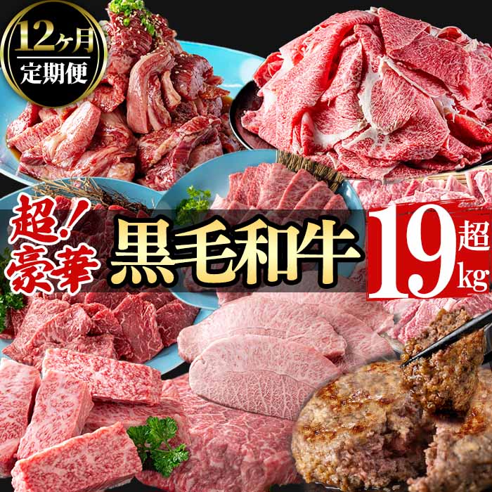 【ふるさと納税】【定期便全12回】超豪華！黒毛和牛堪能贅沢定期便！(総重量19kg超) 鹿児島県産 黒毛和牛 和牛 肉 牛肉 国産 九州産 鹿児島県産 焼肉 BBQ 日本一 ランキング 人気 A4 A5 ステーキ 切り落とし ハンバーグ カルビ ミスジ 訳あり 【nixy CHUZAN】t0363-001