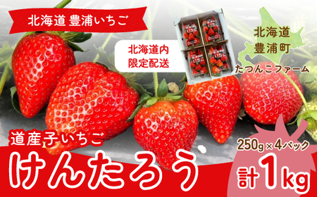 【北海道内限定配送】いちご「けんたろう」250g×4パック 【 ふるさと納税 人気 おすすめ ランキング 果物 いちご苺 イチゴ 国産いちご 国産苺 けんたろう セット 道内限定 おいしい 美味しい 北海道 豊浦町 送料無料 】 TYUF004