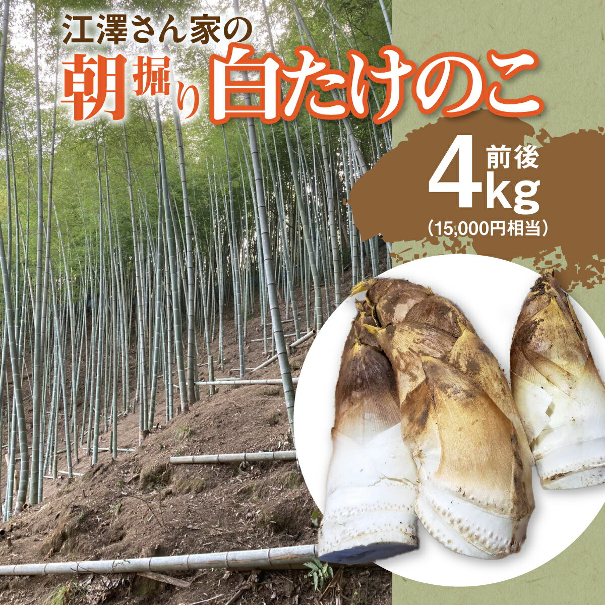 【ふるさと納税】江澤さん家の朝掘り白たけのこ　W05402