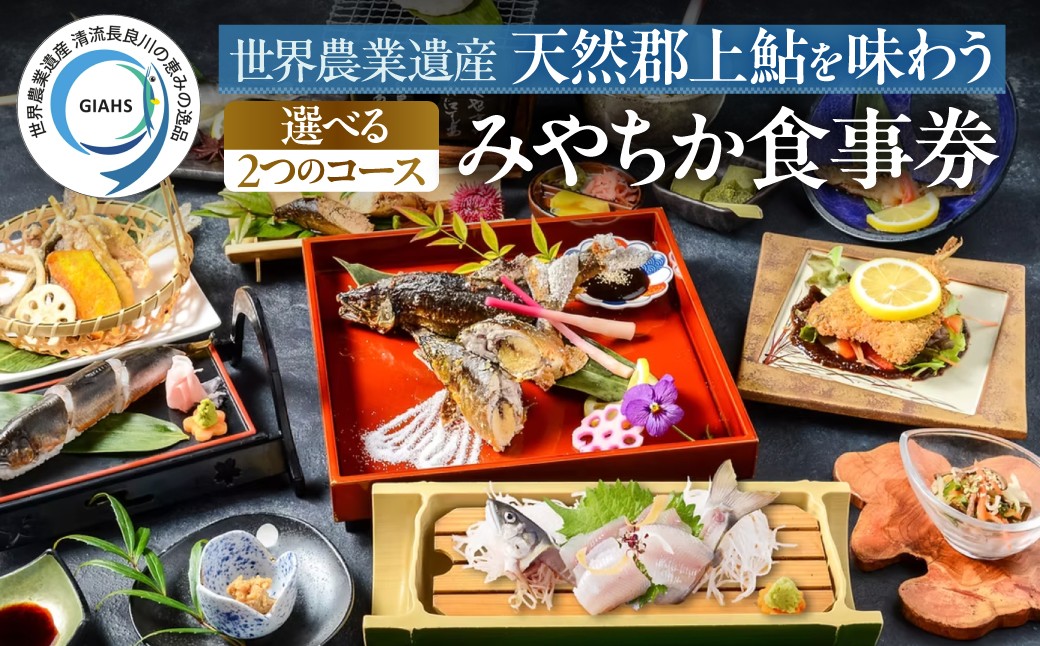 
                  みやちか食事チケット 選べる ２つの人気コース「長良膳 26000円」「贅沢子持ち御膳 53000円」長良川 郡上鮎 食事券 魚介類 鮎料理 懐石料理 子持ち鮎 鮎塩焼き 郡上市
                