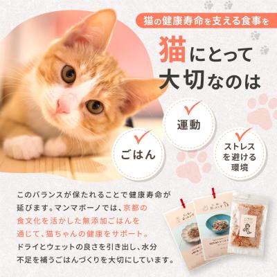 ふるさと納税 京都市 【MANMA BUONO】猫の手作りごはん お試しBセット4種|ペットフード 有名 人気ペットフード |  | 01