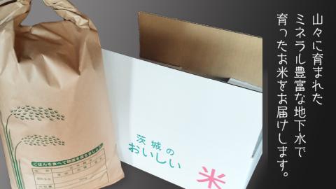 令和8年産 コシヒカリ 精米 10kg (茨城県共通返礼品 かすみがうら市) 銘柄米 [DH020sa]