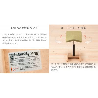 ふるさと納税 美濃市 バランス シナジー　ラウンドシート(カバー付き)[本体:織柄ブルー/カバー:レッド] |  | 02