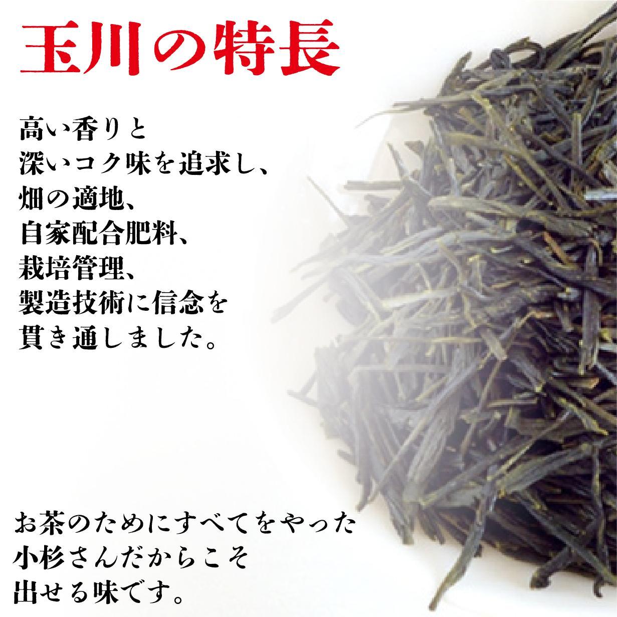 【静岡茶】 玉川100g・大川大間100gセット