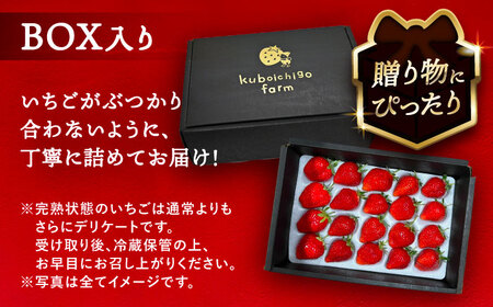 【先行予約】 ＼毎年12月より順次発送／ 紅ほっぺ 20粒 いちご 果物 フルーツ 愛西市 / くぼ苺農園 【配達不可：北海道・沖縄・離島】[AECJ009]