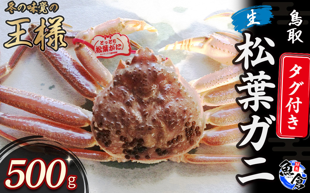 
            【魚倉】タグ付き生松葉ガニ（５００ｇ） 松葉ガニ カニ ズワイガニ カニ爪 タグ付き 冷蔵 かにしゃぶ カニ刺身 ずわいがに 生 鮮度抜群 期間限定 鳥取県 倉吉市
          