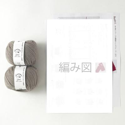 ふるさと納税 江南市 毛糸2玉で編めるケーブル模様のハンドウォーマーキット 5番色 |  | 01