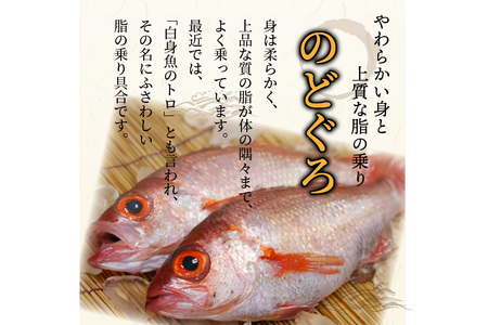 のどくろ、笹カレイ入り 一夜干し詰め合わせ ゴールド