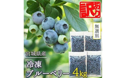 ≪ 訳あり≫ 無選別 冷凍ブルーベリー 4kg ブルーベリー 果物 フルーツ 朝食 ヨーグルト スムージー 健康 訳アリ【有限会社伊豆沼農産】tm440
