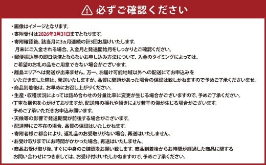 【2026年1月～4月より3か月連続発送】熊本便り！旬の柑橘堪能定期便