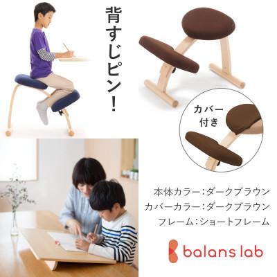 ふるさと納税 美濃市 バランスイージー ショート[ダークブラウン]カバー付+イージーライティングボードL【複数個口で配送】